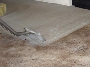 carpet cleaning Jacksonville
