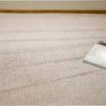 carpet cleaning Jacksonville