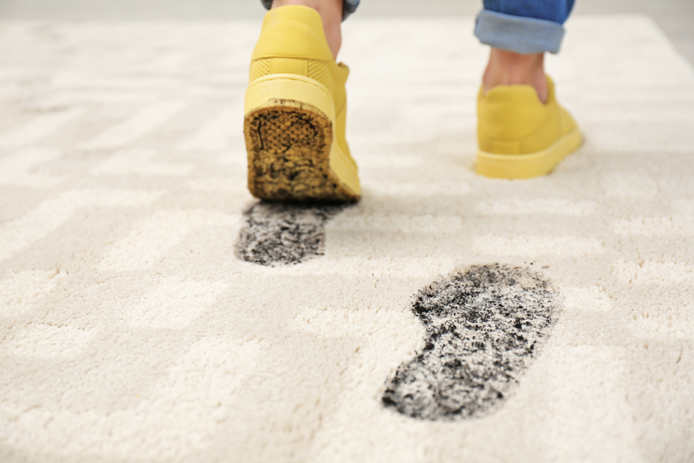 Jacksonville Carpet Cleaning Service