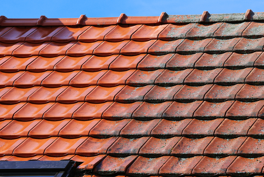 Roof Cleaning Company Opelousas La