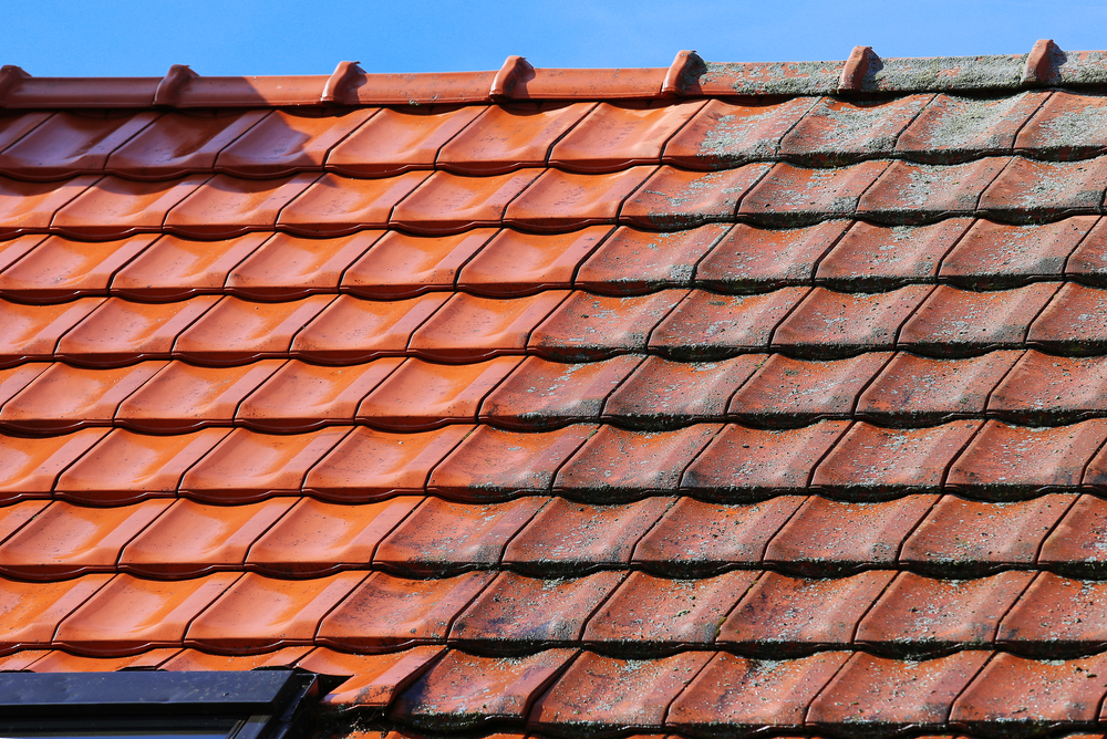 Roof Cleaning Near Me New Palestine IN