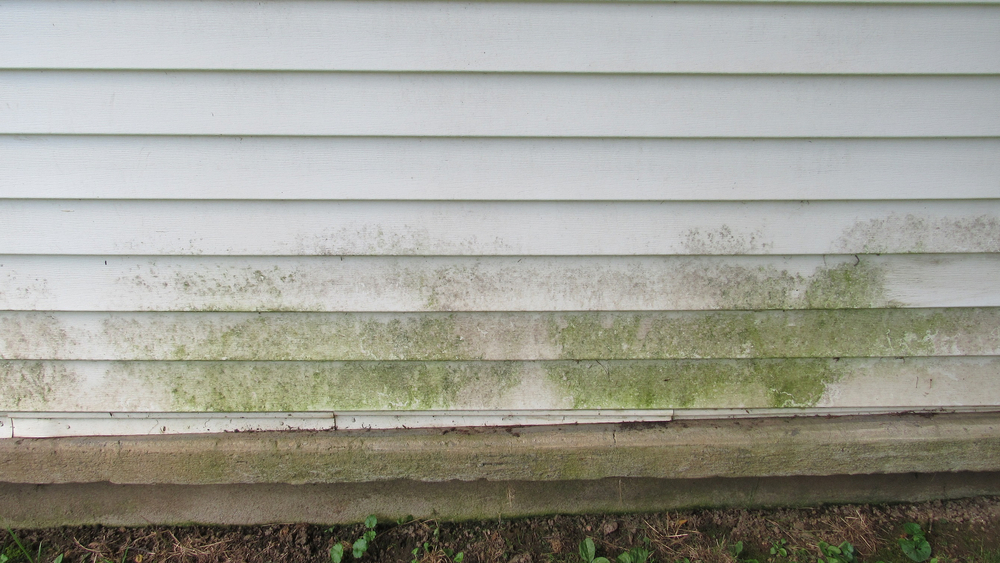 dirty grimy vinyl siding