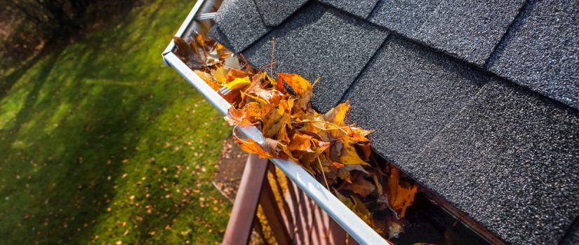 leaves clogged gutter corner