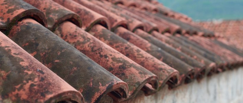 old moldy roof tiles