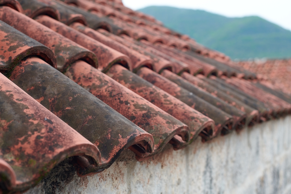 old moldy roof tiles