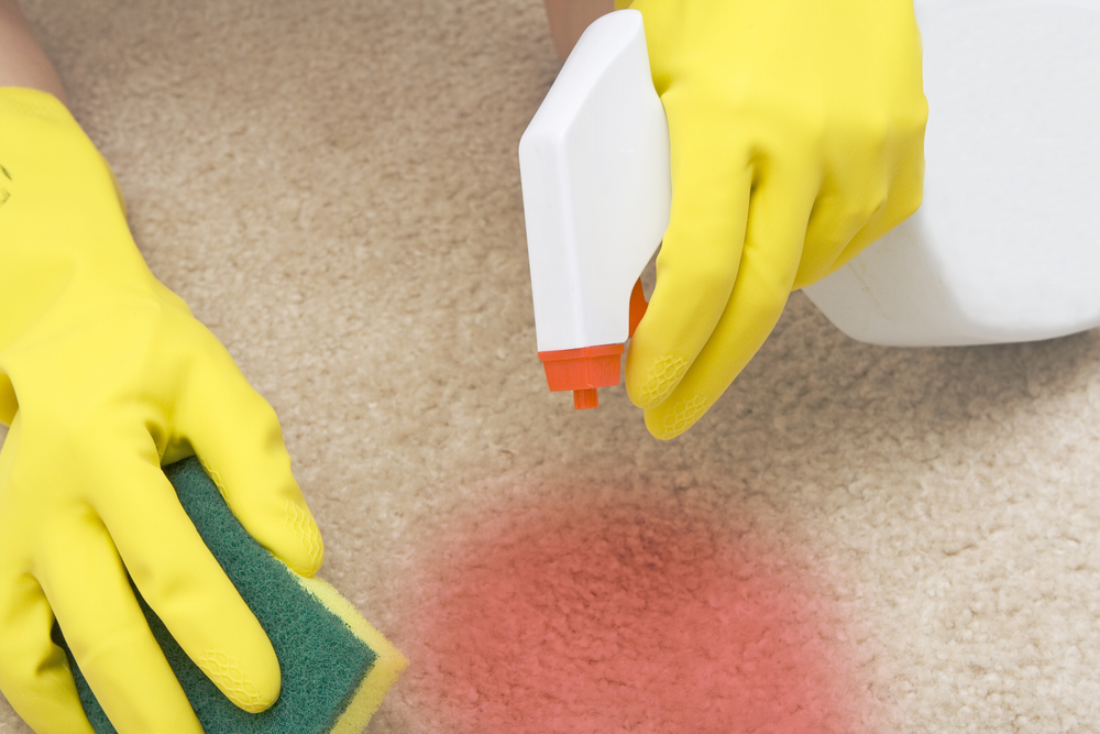 person with yellow gloves wipes up carpet stain