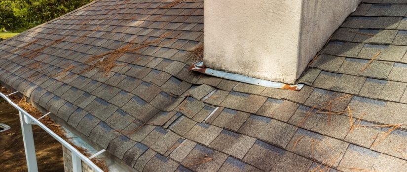 water-damaged roof shingles