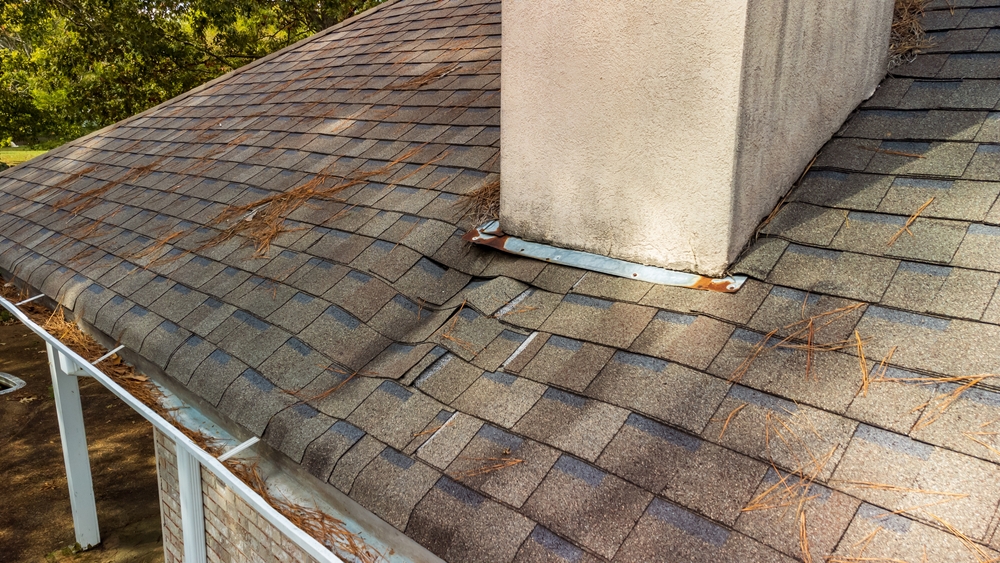 water-damaged roof shingles